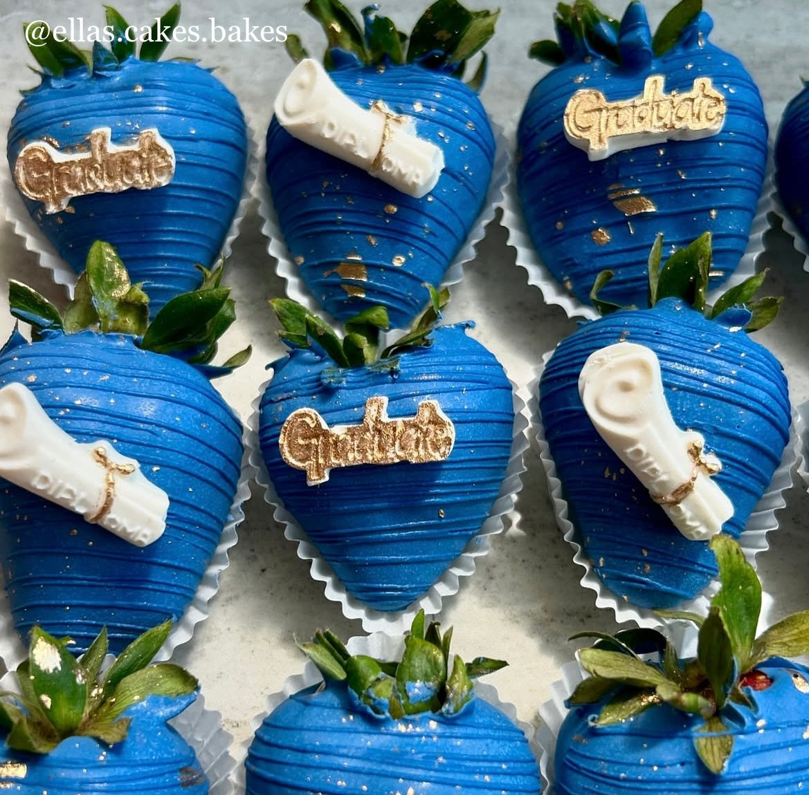 GRADUATION THEME MOLD