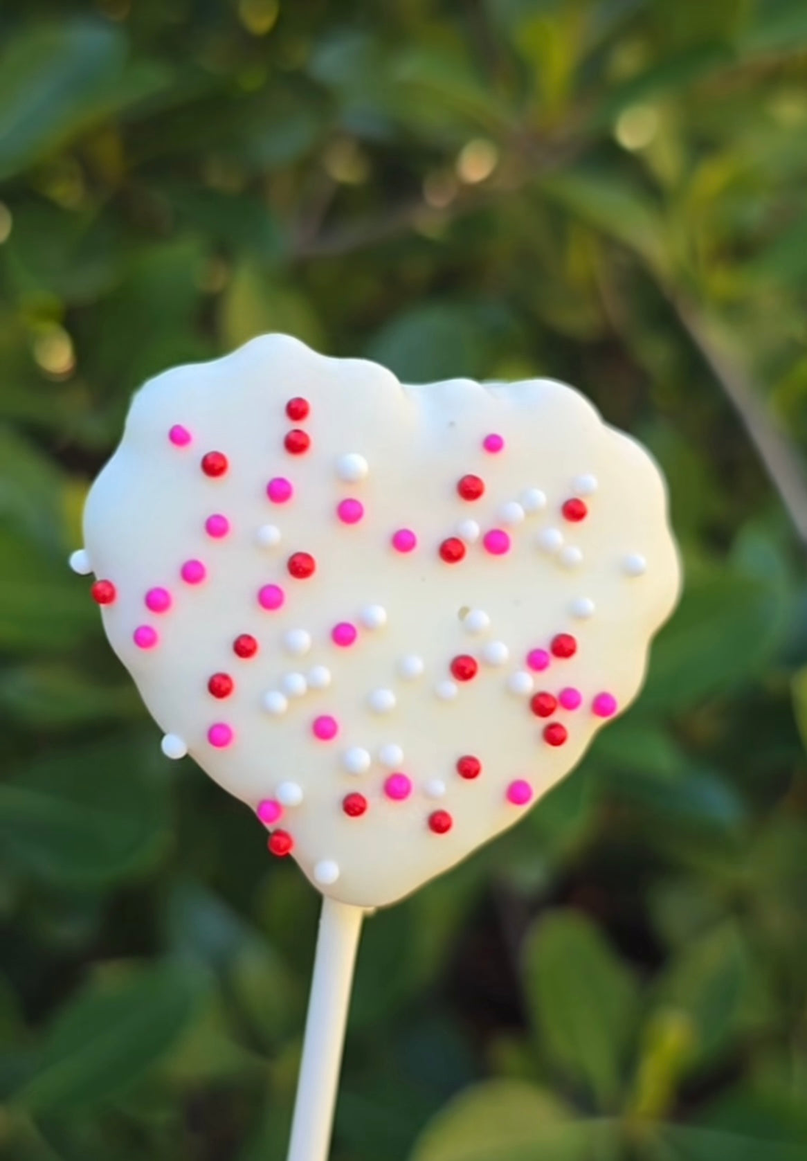 Valentines Scalloped Heart Cake Pop Mold | Deluxe Cutter, Popper, and Tray Option