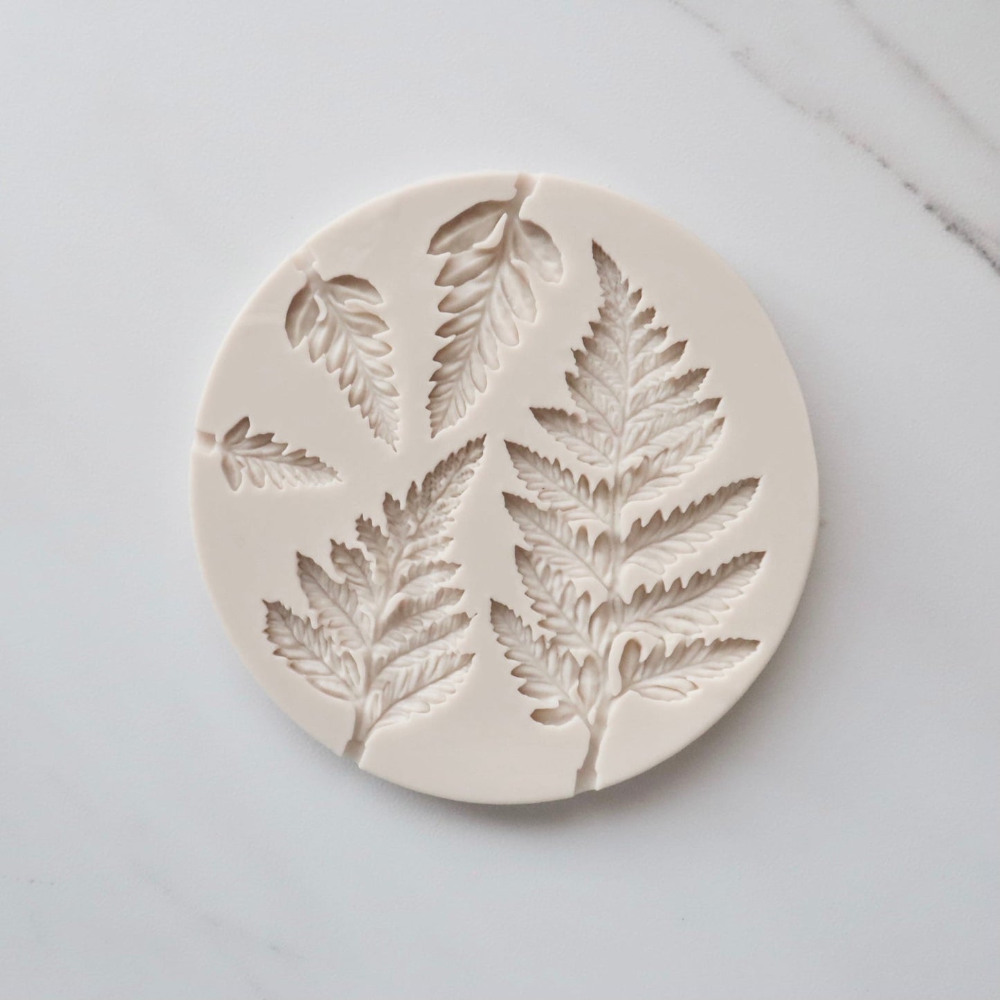 FERN LEAVES MOLD
