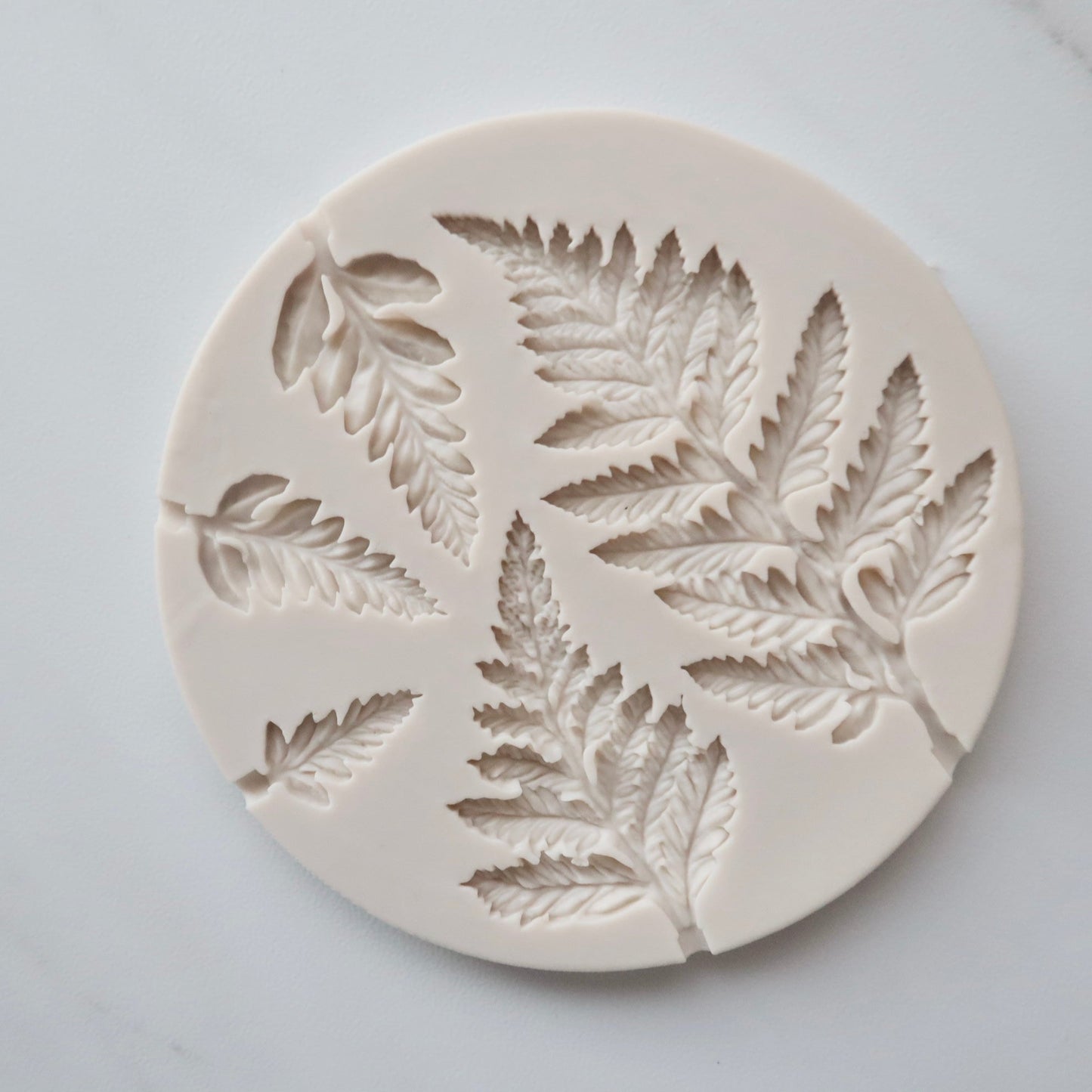 FERN LEAVES MOLD